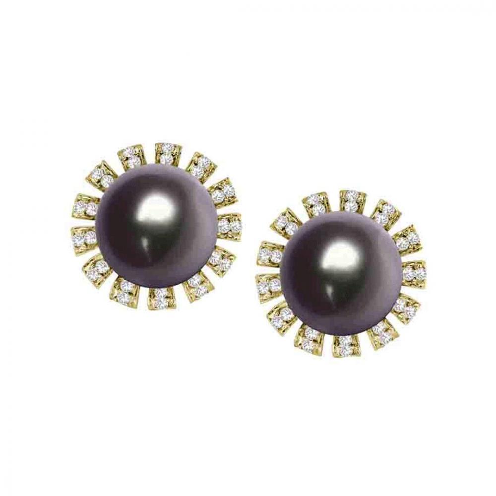 Black South sea pearl earrings